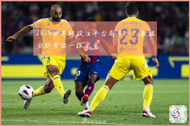 2026世界杯投注平台有多少？数据分析带你一探究竟