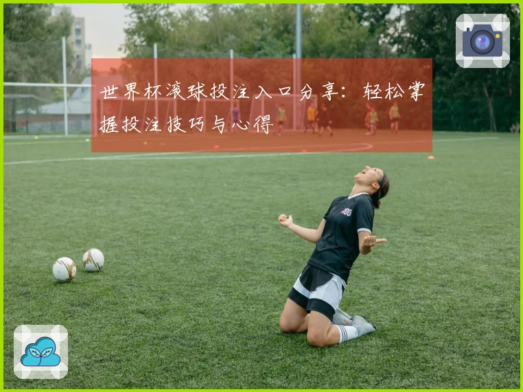 世界杯滚球投注入口分享：轻松掌握投注技巧与心得
