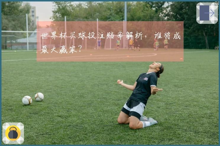 世界杯买球投注赔率解析，谁将成最大赢家？