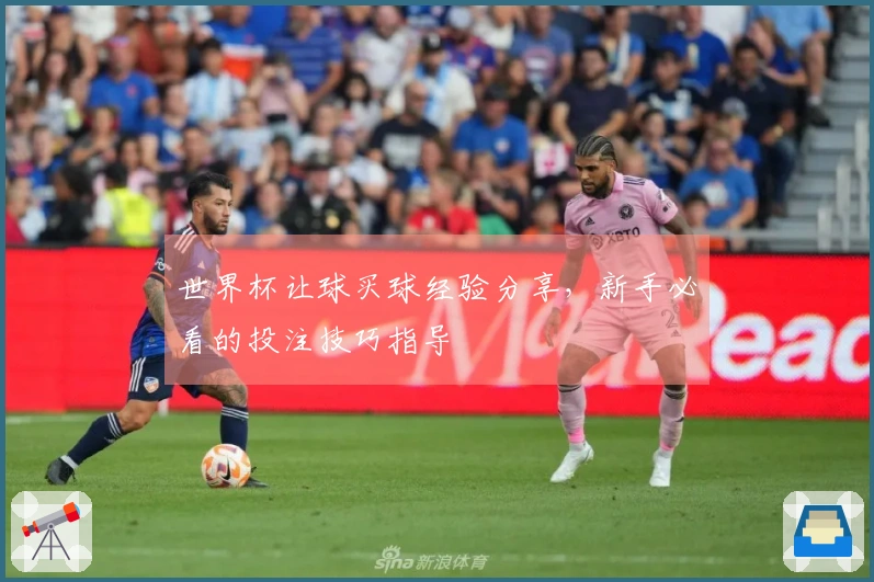世界杯让球买球经验分享，新手必看的投注技巧指导